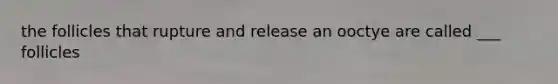 the follicles that rupture and release an ooctye are called ___ follicles