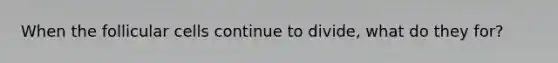 When the follicular cells continue to divide, what do they for?