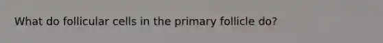 What do follicular cells in the primary follicle do?