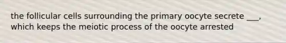 the follicular cells surrounding the primary oocyte secrete ___, which keeps the meiotic process of the oocyte arrested
