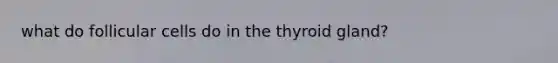 what do follicular cells do in the thyroid gland?