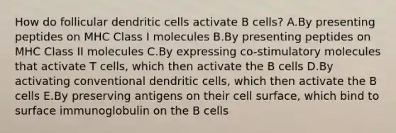 How do follicular dendritic cells activate B cells? A.By presenting peptides on MHC Class I molecules B.By presenting peptides on MHC Class II molecules C.By expressing co-stimulatory molecules that activate T cells, which then activate the B cells D.By activating conventional dendritic cells, which then activate the B cells E.By preserving antigens on their cell surface, which bind to surface immunoglobulin on the B cells