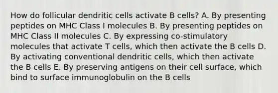 How do follicular dendritic cells activate B cells? A. By presenting peptides on MHC Class I molecules B. By presenting peptides on MHC Class II molecules C. By expressing co-stimulatory molecules that activate T cells, which then activate the B cells D. By activating conventional dendritic cells, which then activate the B cells E. By preserving antigens on their cell surface, which bind to surface immunoglobulin on the B cells