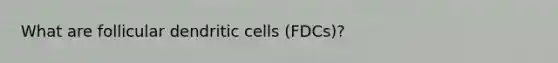 What are follicular dendritic cells (FDCs)?