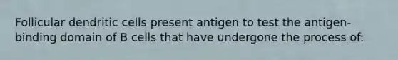 Follicular dendritic cells present antigen to test the antigen-binding domain of B cells that have undergone the process of: