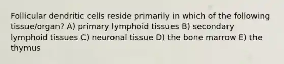 Follicular dendritic cells reside primarily in which of the following tissue/organ? A) primary lymphoid tissues B) secondary lymphoid tissues C) neuronal tissue D) the bone marrow E) the thymus