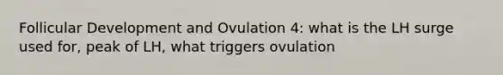 Follicular Development and Ovulation 4: what is the LH surge used for, peak of LH, what triggers ovulation