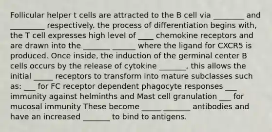 Follicular helper t cells are attracted to the B cell via ________ and _________ respectively. the process of differentiation begins with, the T cell expresses high level of ____ chemokine receptors and are drawn into the _______ ______ where the ligand for CXCR5 is produced. Once inside, the induction of the germinal center B cells occurs by the release of cytokine _______, this allows the initial _____ receptors to transform into mature subclasses such as: ___ for FC receptor dependent phagocyte responses ___ immunity against helminths and Mast cell granulation ___ for mucosal immunity These become _____ _______ antibodies and have an increased _______ to bind to antigens.