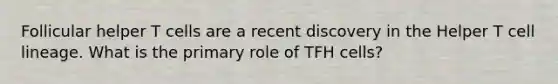 Follicular helper T cells are a recent discovery in the Helper T cell lineage. What is the primary role of TFH cells?