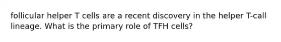 follicular helper T cells are a recent discovery in the helper T-call lineage. What is the primary role of TFH cells?