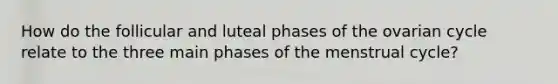 How do the follicular and luteal phases of the ovarian cycle relate to the three main phases of the menstrual cycle?