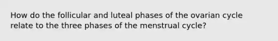 How do the follicular and luteal phases of the ovarian cycle relate to the three phases of the menstrual cycle?