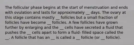 The follicular phase begins at the start of menstruation and ends with ovulation and lasts for approximately __ days. The ovary at this stage contains mostly __ follicles but a small fraction of follicles have become __ follicles. A few follicles have grown further by enlarging and the __ cells have secreted a fluid that pushes the __ cells apart to form a fluid- filled space called the __. A follicle that has an __ is called a __ follicle (or __ follicle).