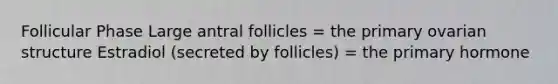 Follicular Phase Large antral follicles = the primary ovarian structure Estradiol (secreted by follicles) = the primary hormone