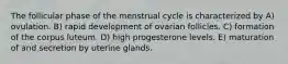 The follicular phase of the menstrual cycle is characterized by A) ovulation. B) rapid development of ovarian follicles. C) formation of the corpus luteum. D) high progesterone levels. E) maturation of and secretion by uterine glands.