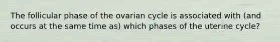 The follicular phase of the ovarian cycle is associated with (and occurs at the same time as) which phases of the uterine cycle?