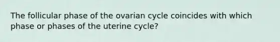 The follicular phase of the ovarian cycle coincides with which phase or phases of the uterine cycle?