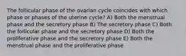 The follicular phase of the ovarian cycle coincides with which phase or phases of the uterine cycle? A) Both the menstrual phase and the secretory phase B) The secretory phase C) Both the follicular phase and the secretory phase D) Both the proliferative phase and the secretory phase E) Both the menstrual phase and the proliferative phase