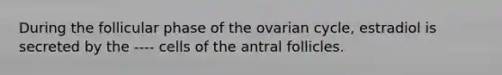 During the follicular phase of the ovarian cycle, estradiol is secreted by the ---- cells of the antral follicles.