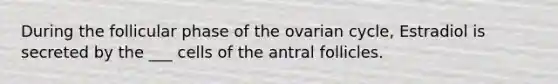 During the follicular phase of the ovarian cycle, Estradiol is secreted by the ___ cells of the antral follicles.