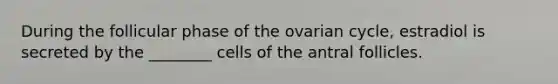 During the follicular phase of the ovarian cycle, estradiol is secreted by the ________ cells of the antral follicles.