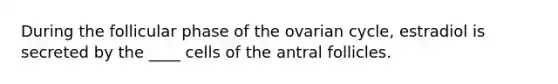 During the follicular phase of the ovarian cycle, estradiol is secreted by the ____ cells of the antral follicles.