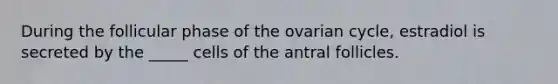 During the follicular phase of the ovarian cycle, estradiol is secreted by the _____ cells of the antral follicles.