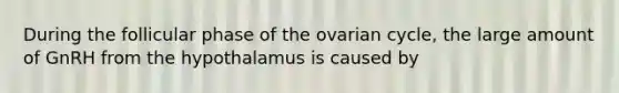 During the follicular phase of the ovarian cycle, the large amount of GnRH from the hypothalamus is caused by