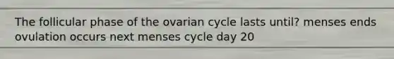 The follicular phase of the ovarian cycle lasts until? menses ends ovulation occurs next menses cycle day 20