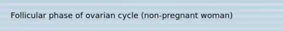 Follicular phase of ovarian cycle (non-pregnant woman)