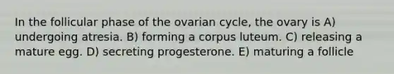 In the follicular phase of the ovarian cycle, the ovary is A) undergoing atresia. B) forming a corpus luteum. C) releasing a mature egg. D) secreting progesterone. E) maturing a follicle