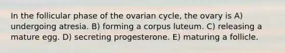 In the follicular phase of the ovarian cycle, the ovary is A) undergoing atresia. B) forming a corpus luteum. C) releasing a mature egg. D) secreting progesterone. E) maturing a follicle.