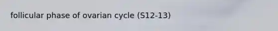 follicular phase of ovarian cycle (S12-13)