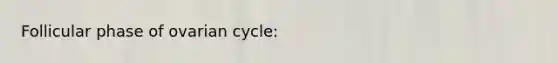 Follicular phase of ovarian cycle: