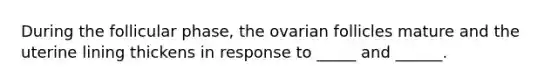 During the follicular phase, the ovarian follicles mature and the uterine lining thickens in response to _____ and ______.