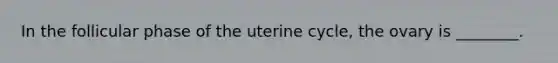 In the follicular phase of the uterine cycle, the ovary is ________.