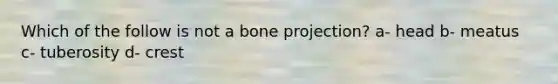 Which of the follow is not a bone projection? a- head b- meatus c- tuberosity d- crest