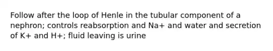 Follow after the loop of Henle in the tubular component of a nephron; controls reabsorption and Na+ and water and secretion of K+ and H+; fluid leaving is urine