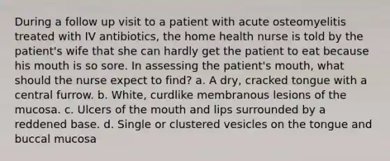 During a follow up visit to a patient with acute osteomyelitis treated with IV antibiotics, the home health nurse is told by the patient's wife that she can hardly get the patient to eat because his mouth is so sore. In assessing the patient's mouth, what should the nurse expect to find? a. A dry, cracked tongue with a central furrow. b. White, curdlike membranous lesions of the mucosa. c. Ulcers of the mouth and lips surrounded by a reddened base. d. Single or clustered vesicles on the tongue and buccal mucosa