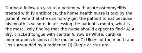 During a follow up visit to a patient with acute osteomyelitis treated with IV antibiotics, the home health nurse is told by the patient' wife that she can hardly get the patient to eat because his mouth is so sore. In assessing the patient's mouth, what is the most likely finding that the nurse should expect to find? A) A dry, cracked tongue with central furrow B) White, curdlike membranous lesions of the mucousa C) Ulcers of the mouth and lips surrounded by a reddened D) Single or clustere