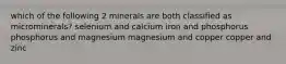 which of the following 2 minerals are both classified as microminerals? selenium and calcium iron and phosphorus phosphorus and magnesium magnesium and copper copper and zinc