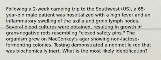 Following a 2-week camping trip to the Southwest (US), a 65-year-old male patient was hospitalized with a high fever and an inflammatory swelling of the axilla and groin lymph nodes. Several blood cultures were obtained, resulting in growth of gram-negative rods resembling "closed safety pins." The organism grew on MacConkey's agar showing non-lactose-fermenting colonies. Testing demonstrated a nonmotile rod that was biochemically inert. What is the most likely identification?