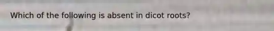 Which of the following is absent in dicot roots?