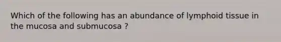 Which of the following has an abundance of lymphoid tissue in the mucosa and submucosa ?