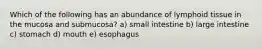 Which of the following has an abundance of lymphoid tissue in the mucosa and submucosa? a) small intestine b) large intestine c) stomach d) mouth e) esophagus