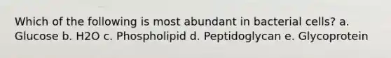 Which of the following is most abundant in bacterial cells? a. Glucose b. H2O c. Phospholipid d. Peptidoglycan e. Glycoprotein