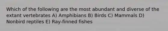 Which of the following are the most abundant and diverse of the extant vertebrates A) Amphibians B) Birds C) Mammals D) Nonbird reptiles E) Ray-finned fishes