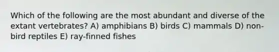 Which of the following are the most abundant and diverse of the extant vertebrates? A) amphibians B) birds C) mammals D) non-bird reptiles E) ray-finned fishes