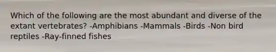 Which of the following are the most abundant and diverse of the extant vertebrates? -Amphibians -Mammals -Birds -Non bird reptiles -Ray-finned fishes