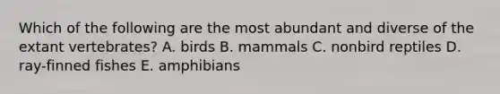 Which of the following are the most abundant and diverse of the extant vertebrates? A. birds B. mammals C. nonbird reptiles D. ray-finned fishes E. amphibians